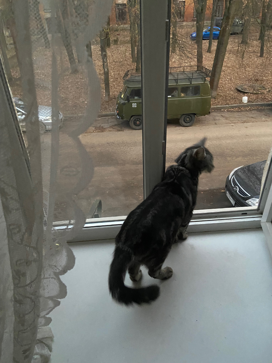 Провожает гостей.