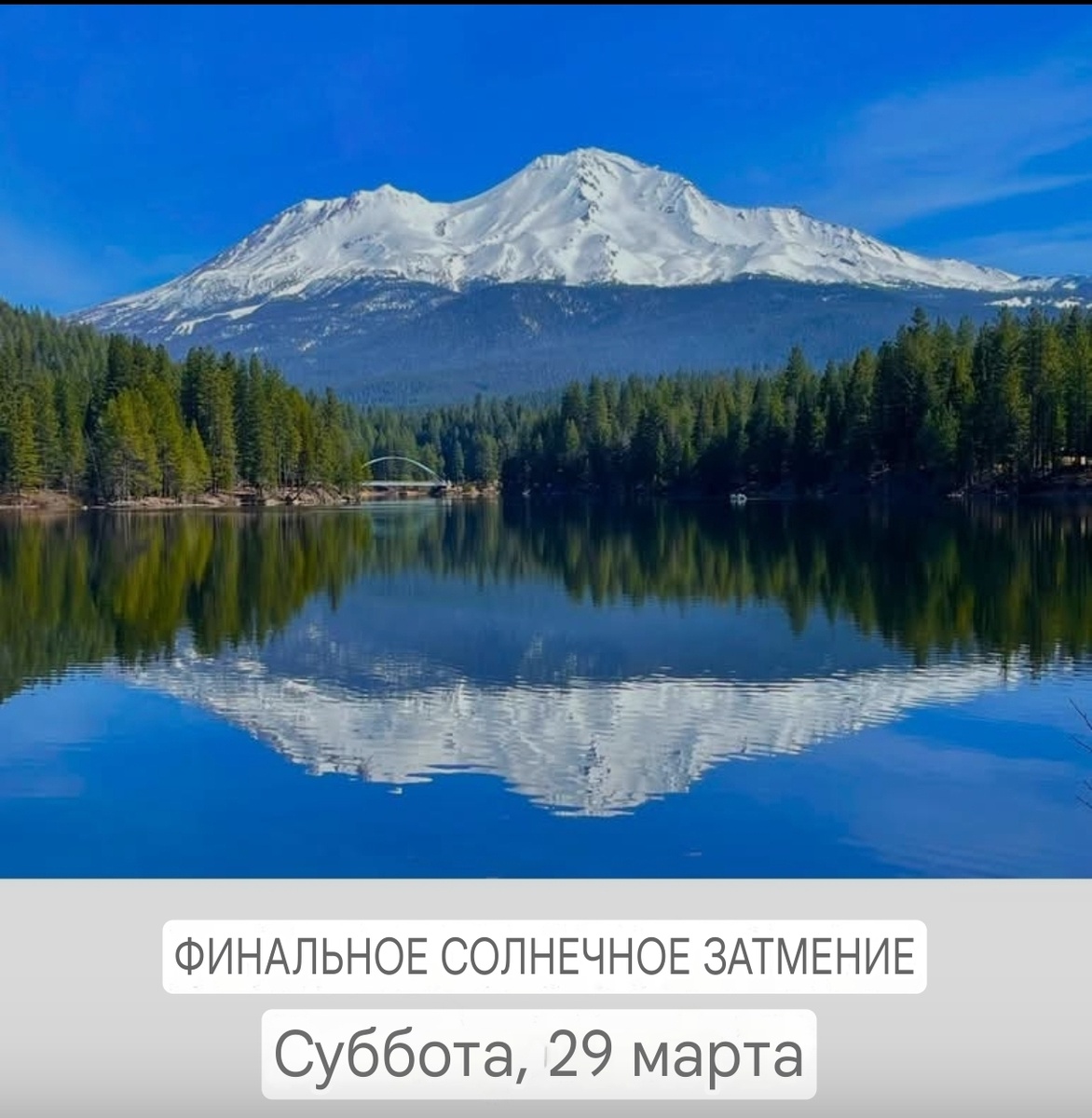 Фото: Божественное отражение любимой горы Шаста, сделанное во вторник. Получите ее благодатные благословения. (Авторские права на фото принадлежат автору статьи)

