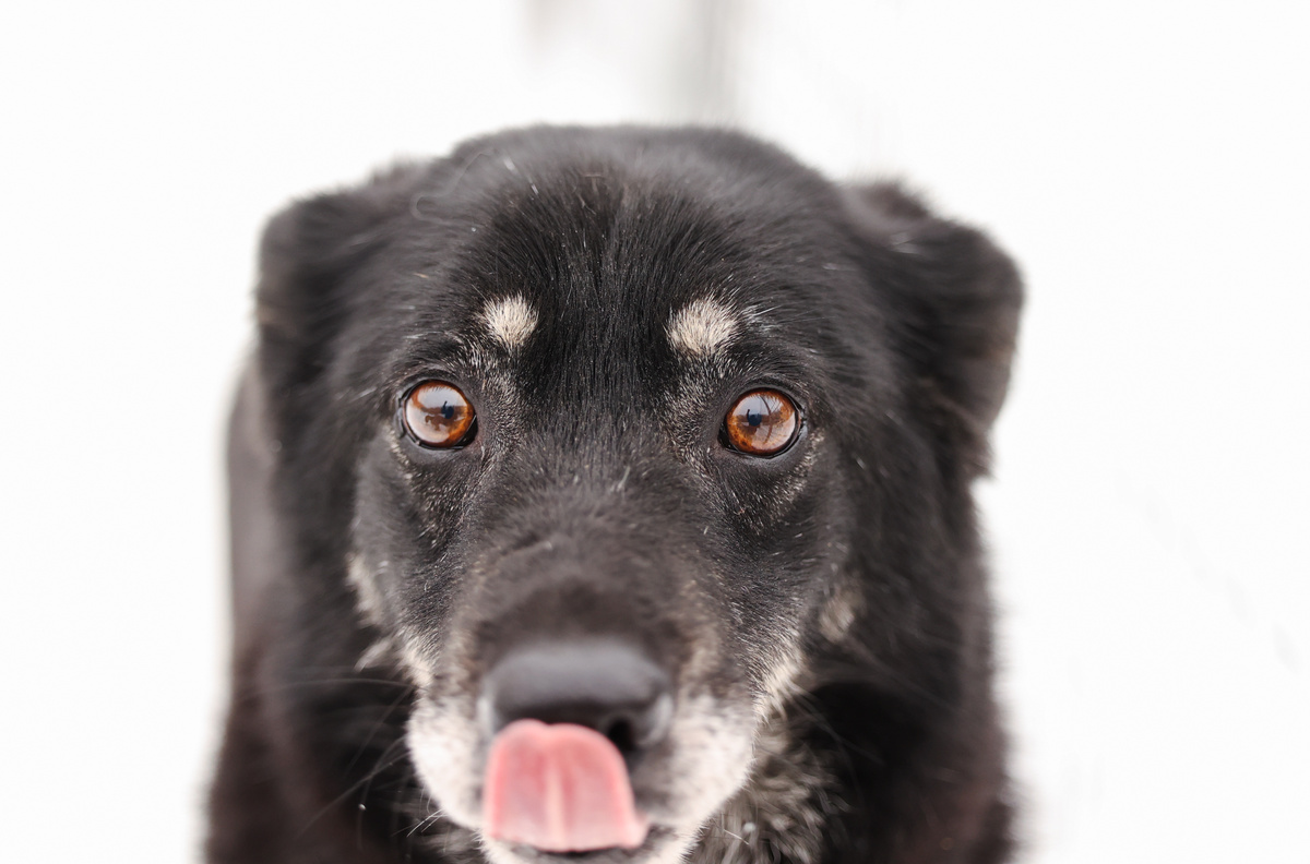 Да я сама не знаю почему так