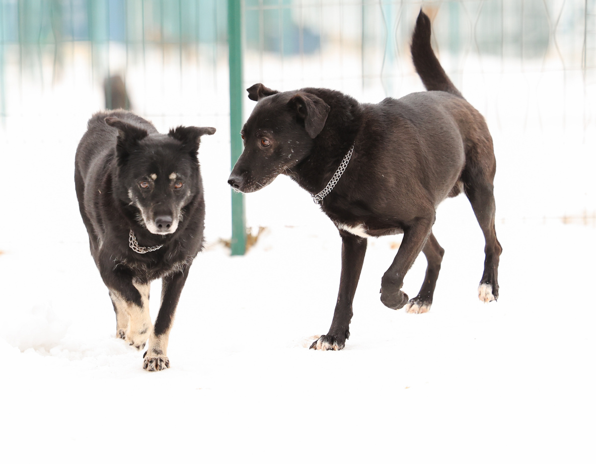 Соседи не дадут соврать, подходят и спрашивают где я такой медовый аромат приобрела