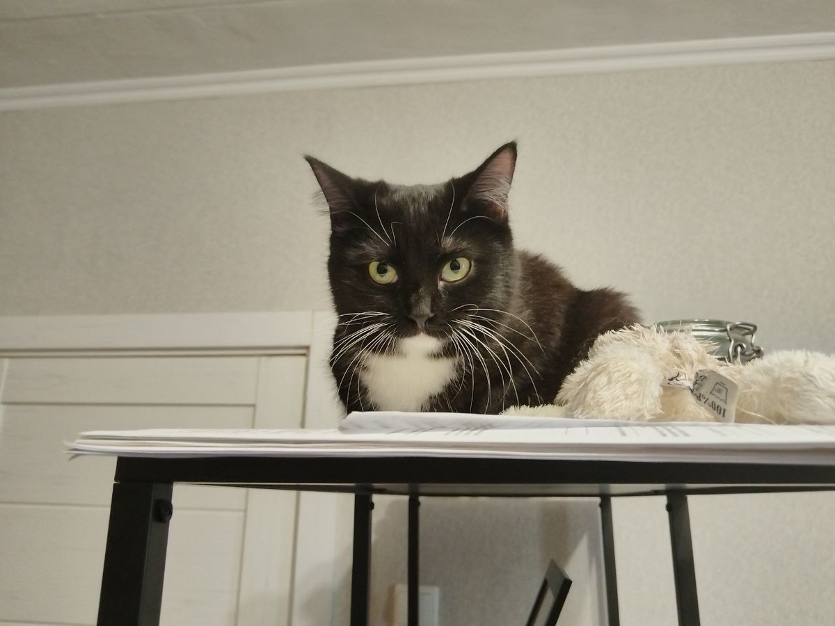 Я тоже почитала комментарии с мамой и нам понравилось, что большинство просто были за меня очень рады!