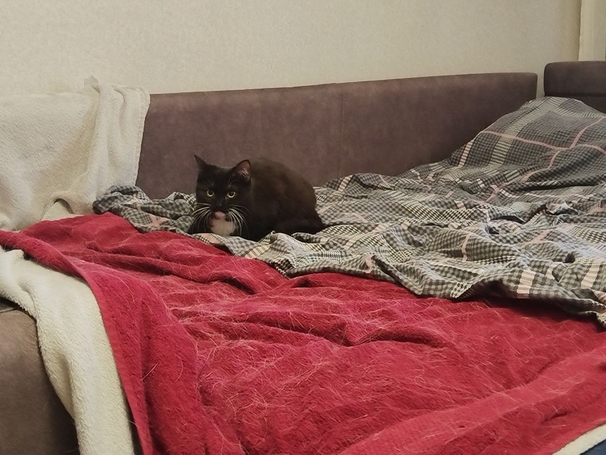 Если что я пока не избалованная! Я могу есть всё!