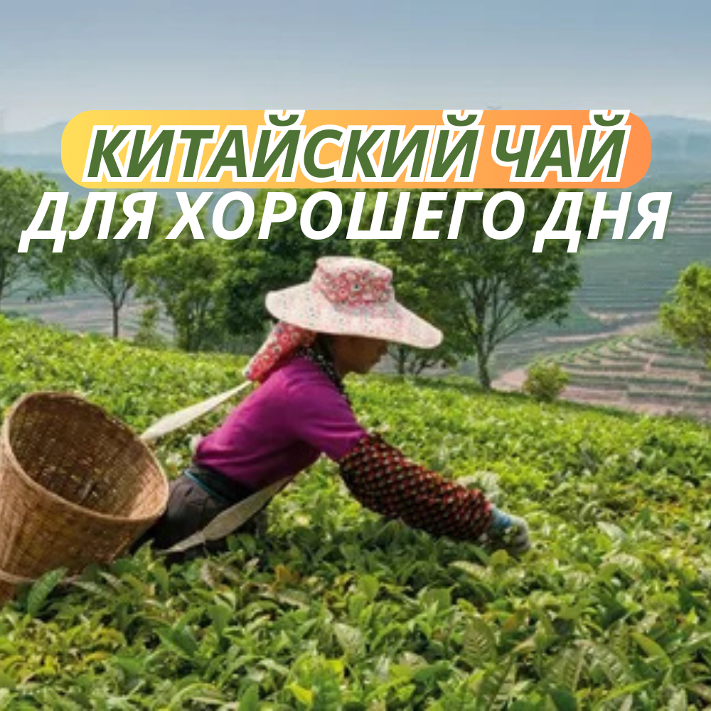 Лучшие сорта китайских чаев