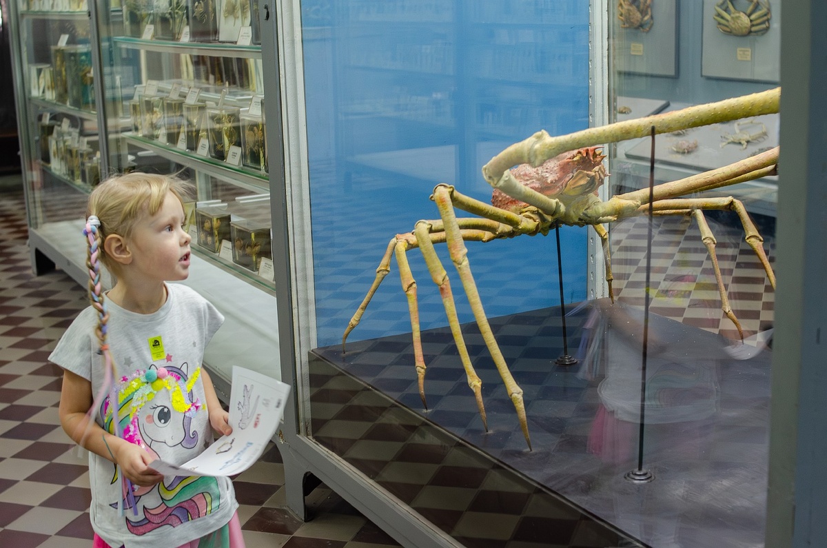Гигантский краб. Не хотелось бы оказаться рядом с его живой версией