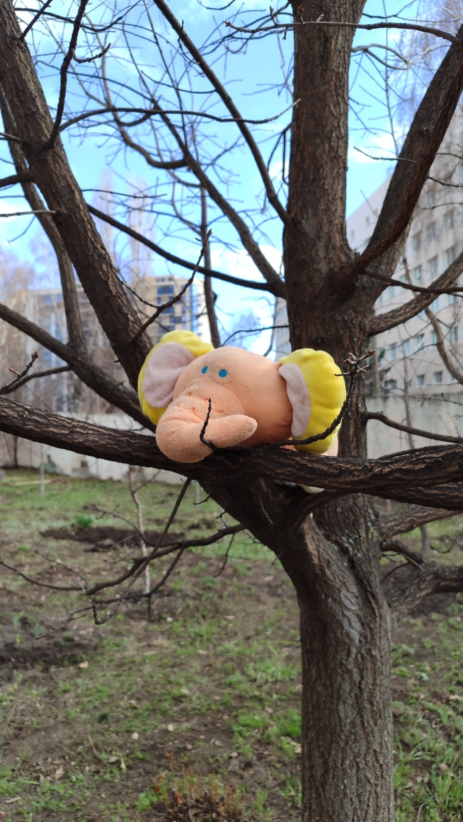 Весна. Слоны прилетели. 