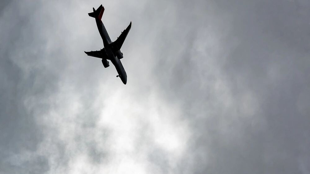    Фото: Vladyslav Horoshevych/Shutterstock/Fotodom