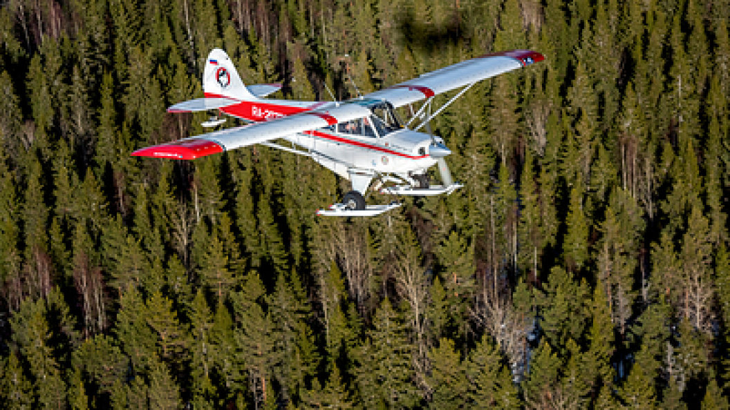    Фото: Serguei Fomine/Global Look Press