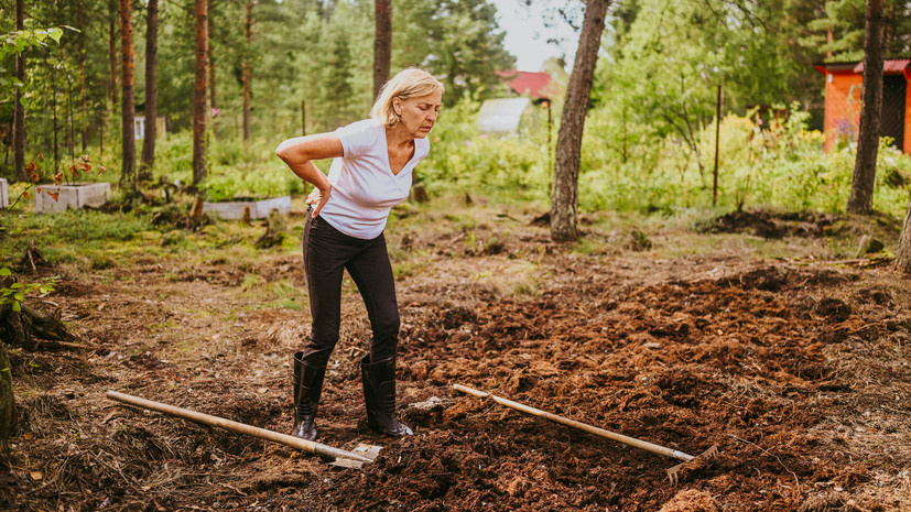   Gettyimages.ru Alina Vasylieva