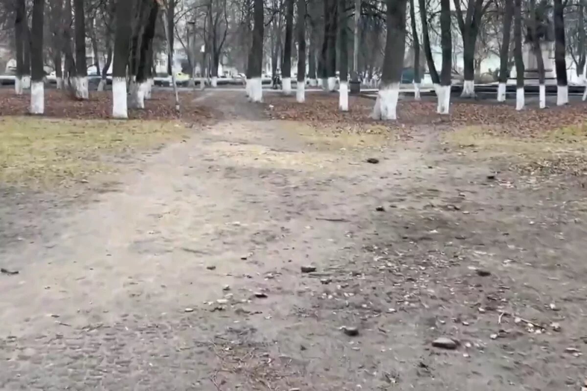    Местами север Поликарпова напоминает обычный пустырь.