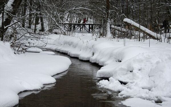    Фото: Светлана Лобова. UG.RU