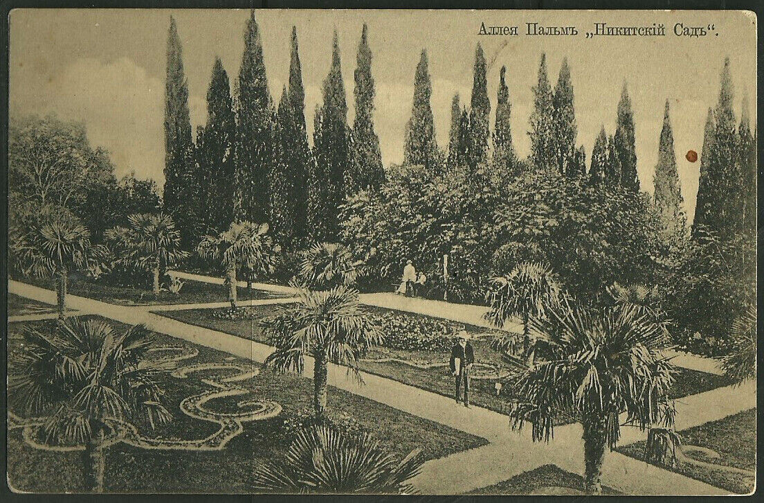 Пальмовая аллея. Открытка начала 20 века.