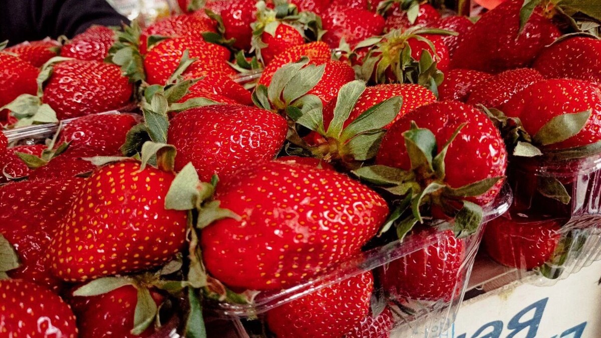     Источник: transsibinfo.com