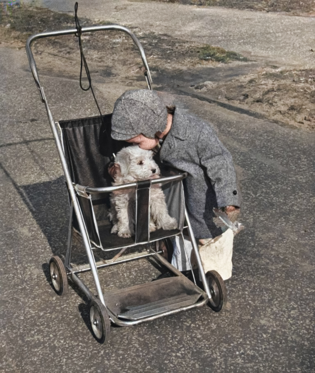 Фотограф Рут Оркин