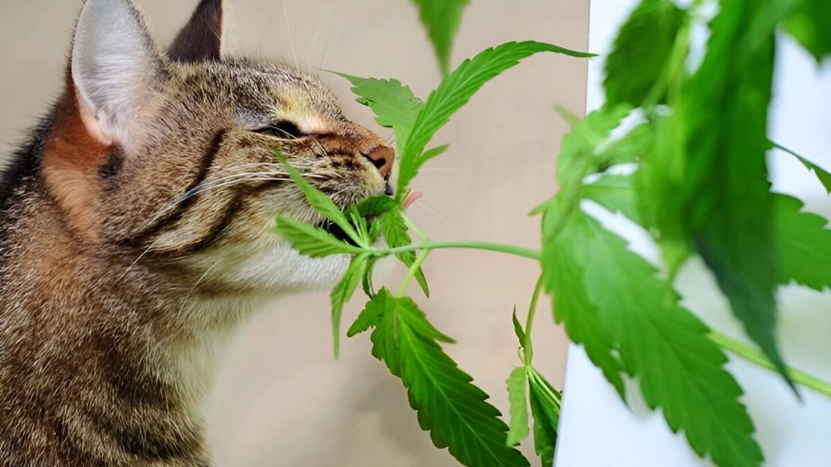     Источник: freepik.com