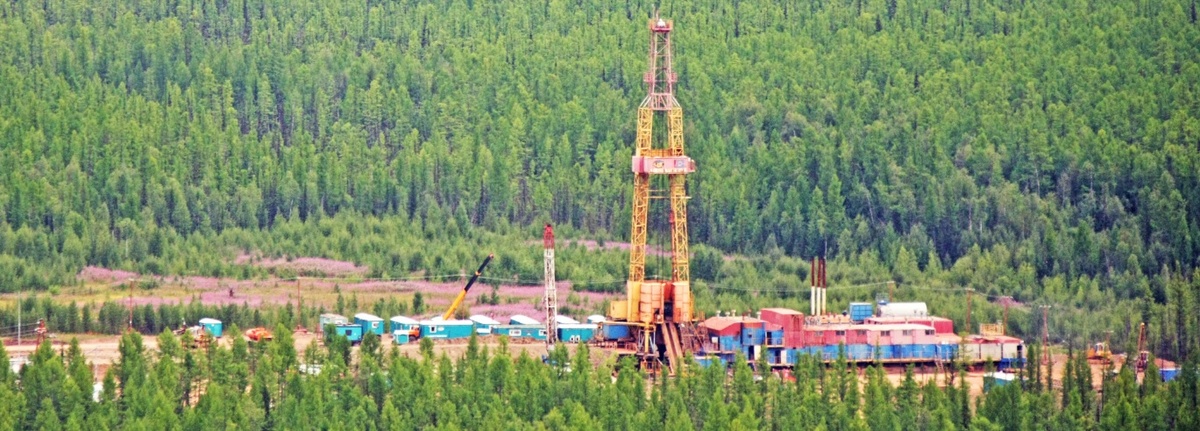 Изображение с сайта https://www.surgutneftegas.ru/