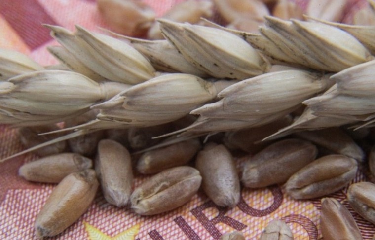    Сергей Булкин/NEWS.ru