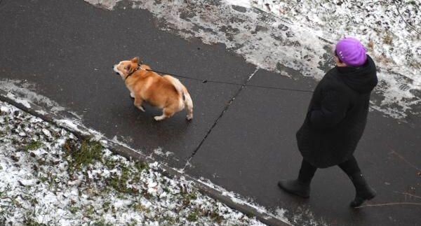    РИА «Новости»