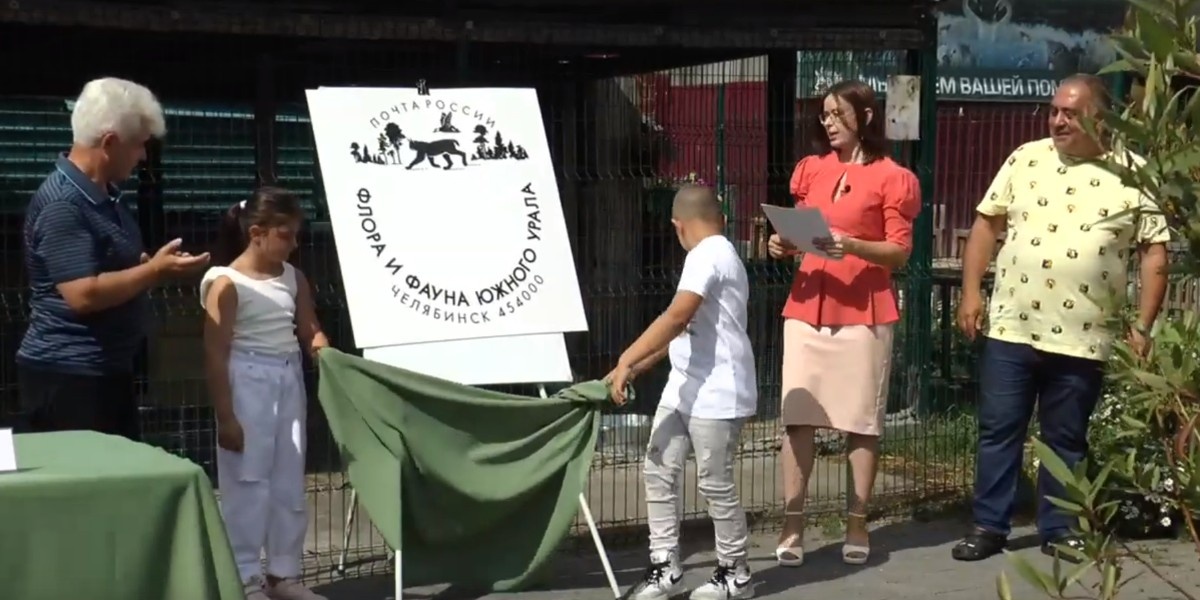 фото из интернета