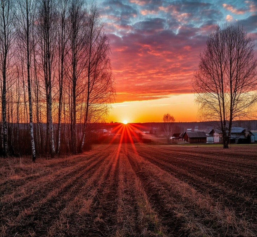 Создано нейросетью. Примерно такое же мое утро в деревне