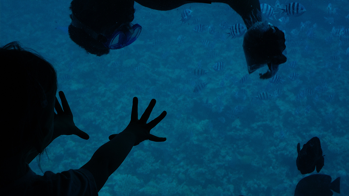    Фото: vm.ru Георгий