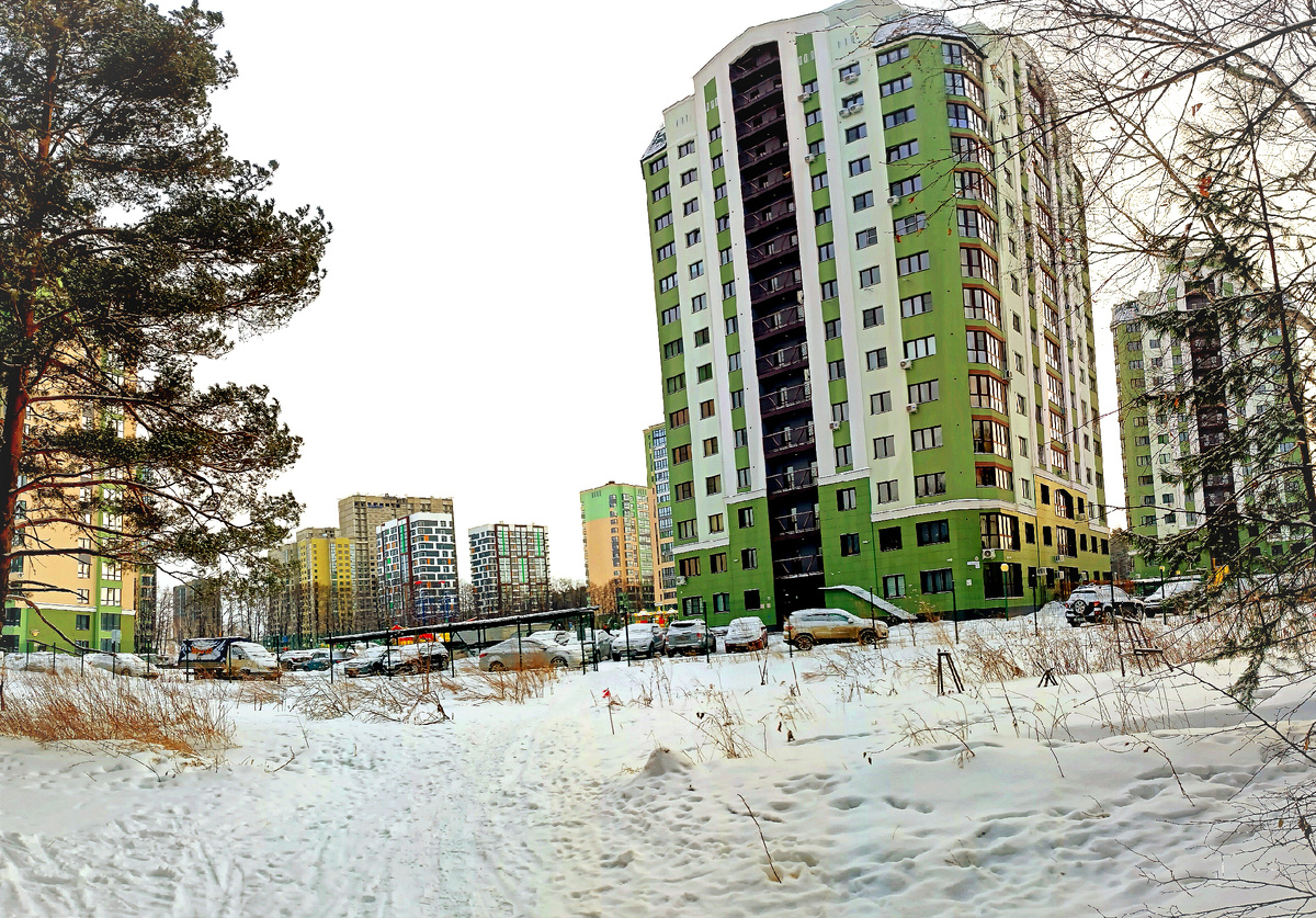 Где-то на просторах моего города. Фотография автора, февраль 2025 года. 
