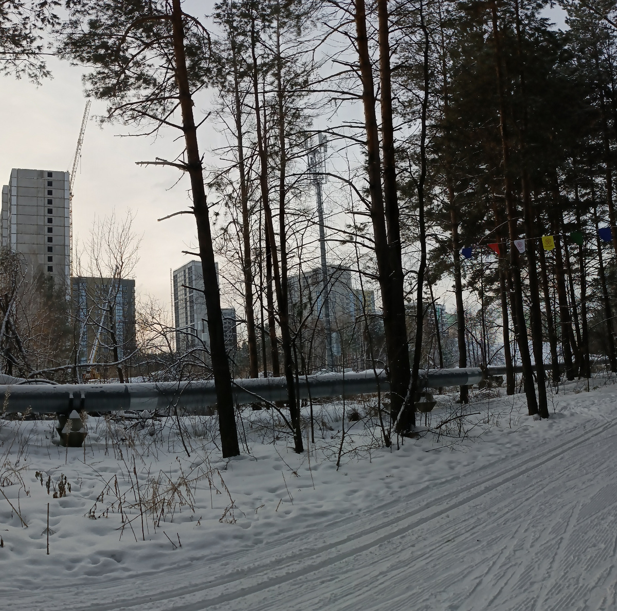 Где-то на просторах моего города. Фотография автора, февраль 2025 года. 