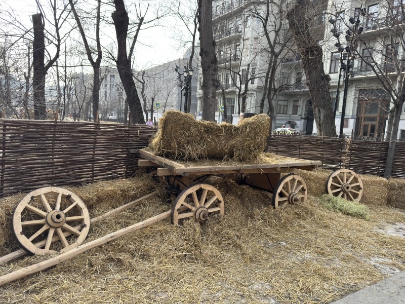    Фото: Alexander Legky/Globallookpress