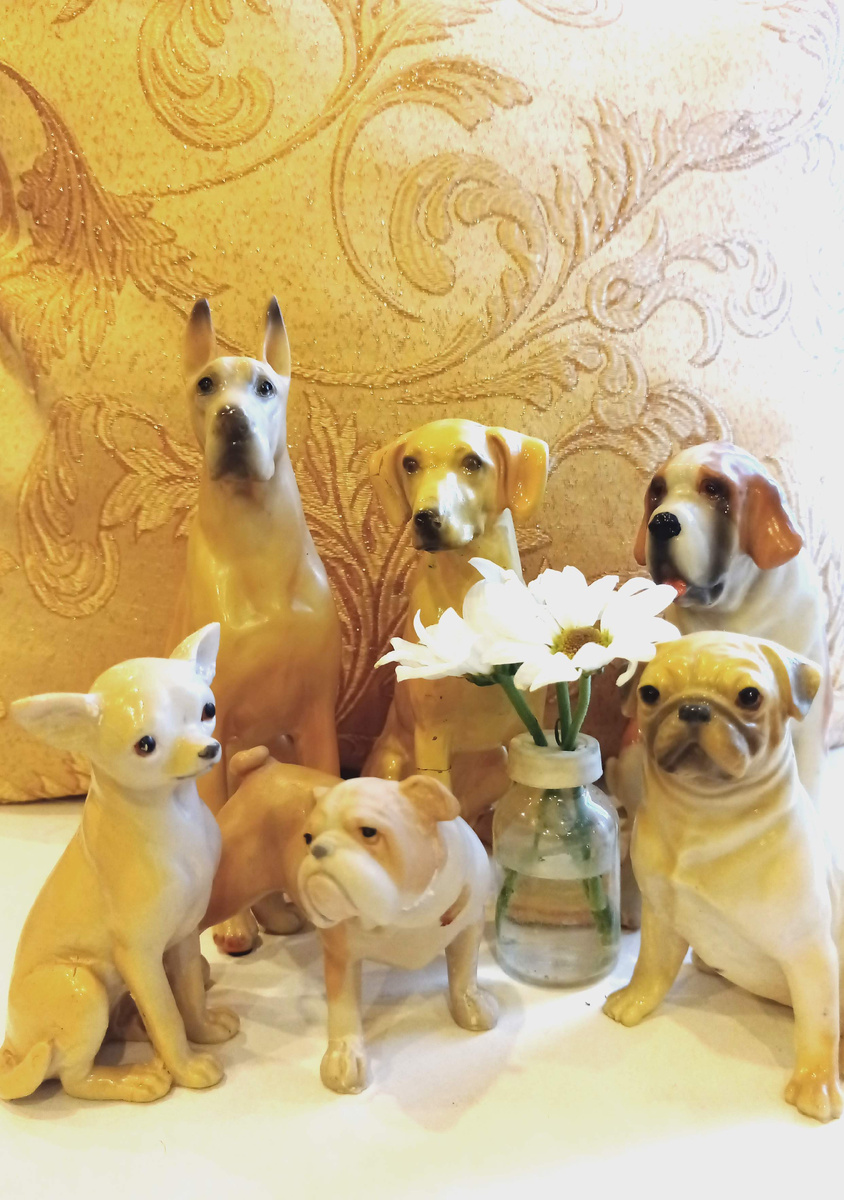 Часть коллекци моих сувенирных собачек