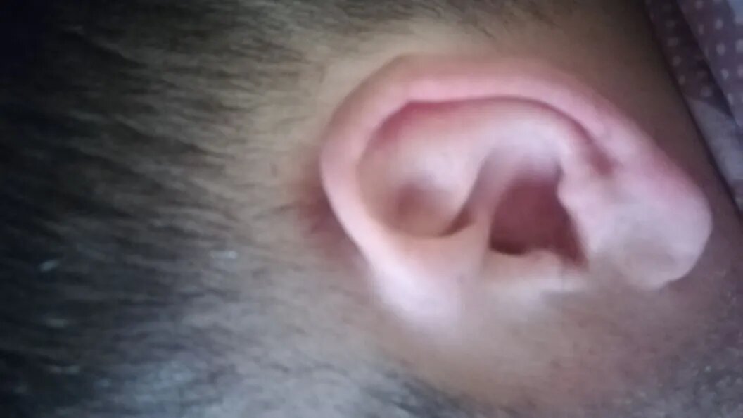    фото: Царьград Новосибирск