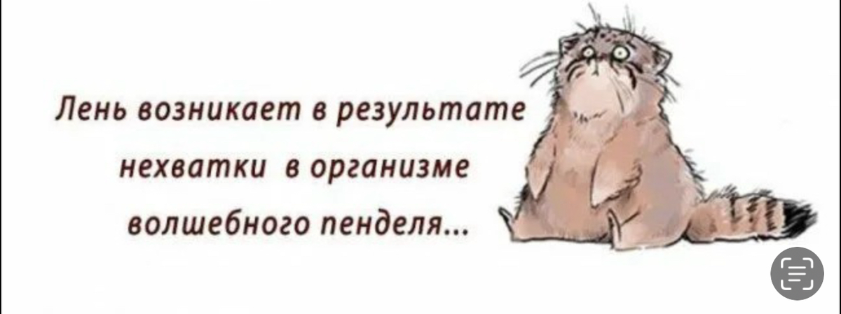 Яндекс картинки