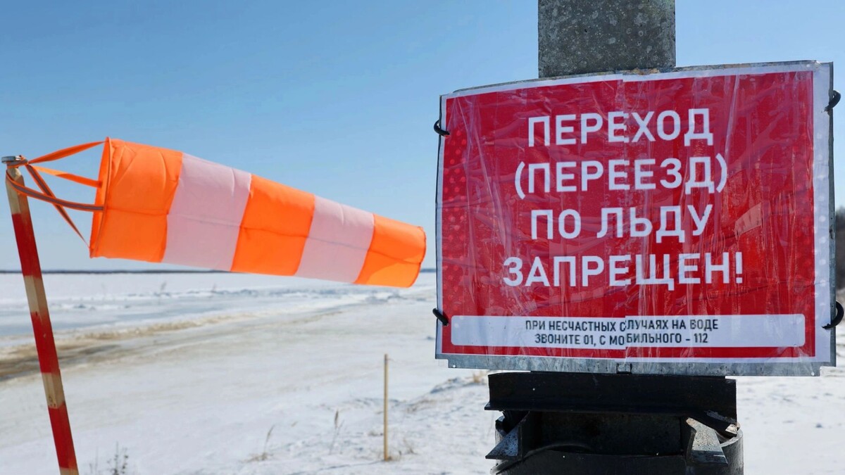    Фото: Андрей Ткачев/«Ямал-Медиа»