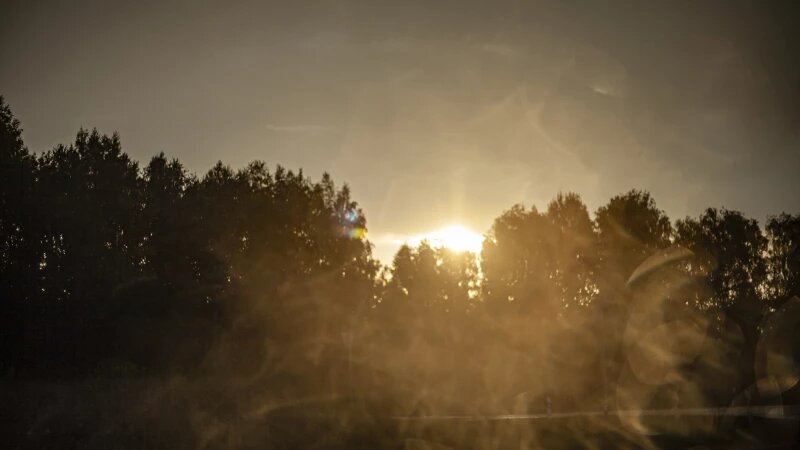     Небо над Алтайским краем. Дарья Беркетова