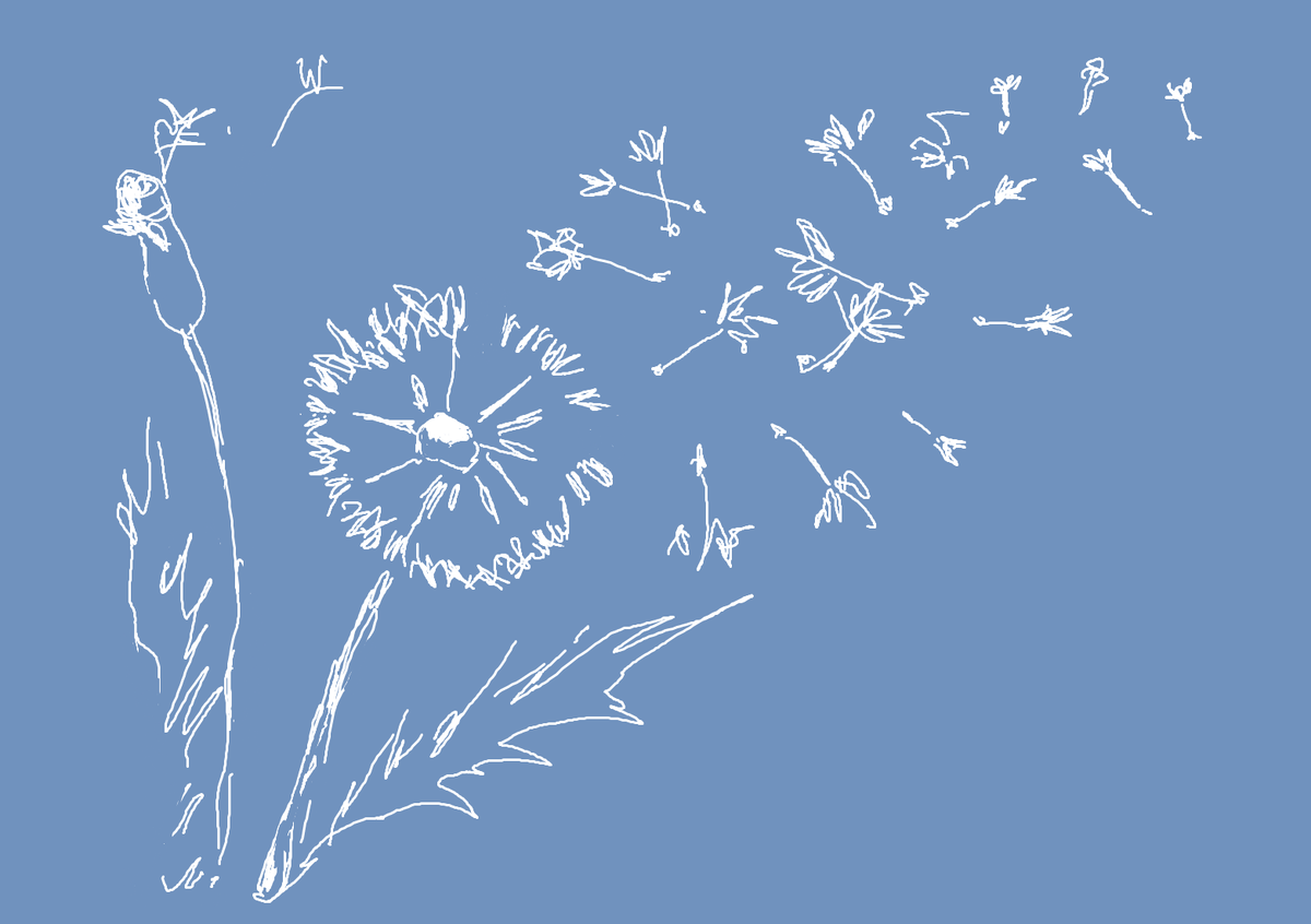 Картинка из личного архива