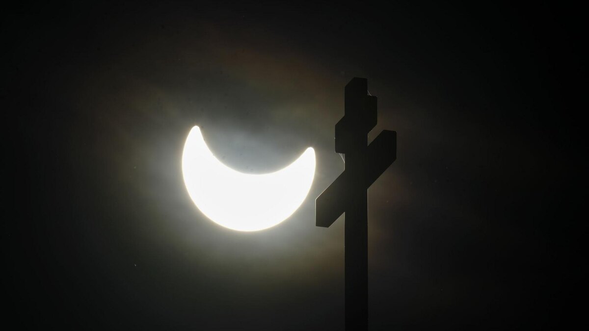    Фото: ИЗВЕСТИЯ/Дмитрий Коротаев