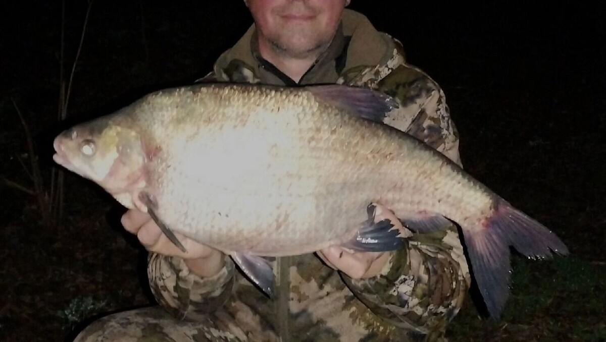     Источник: ВКонтакте Виталий Шульга