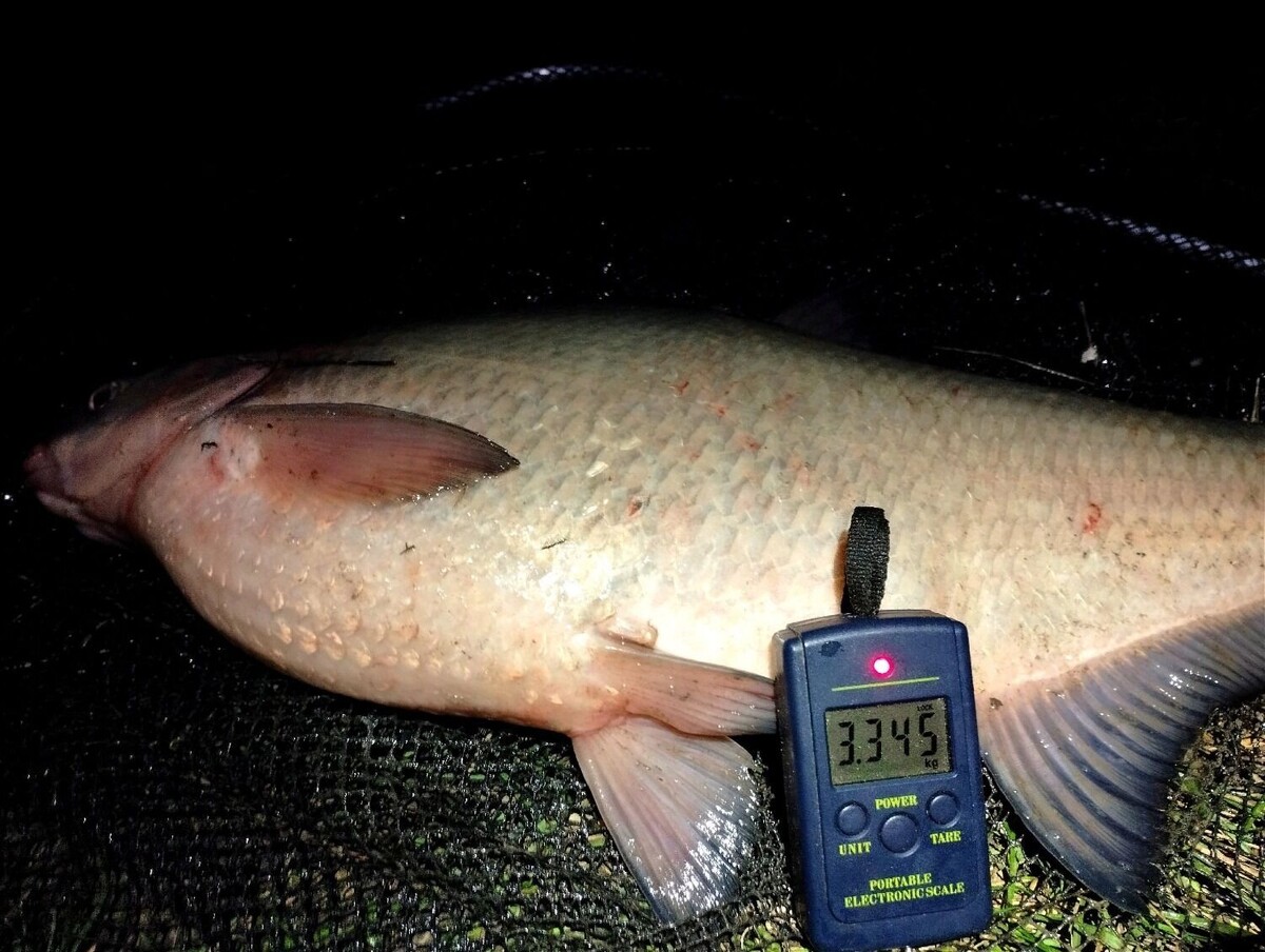     Источник: ВКонтакте Виталий Шульга