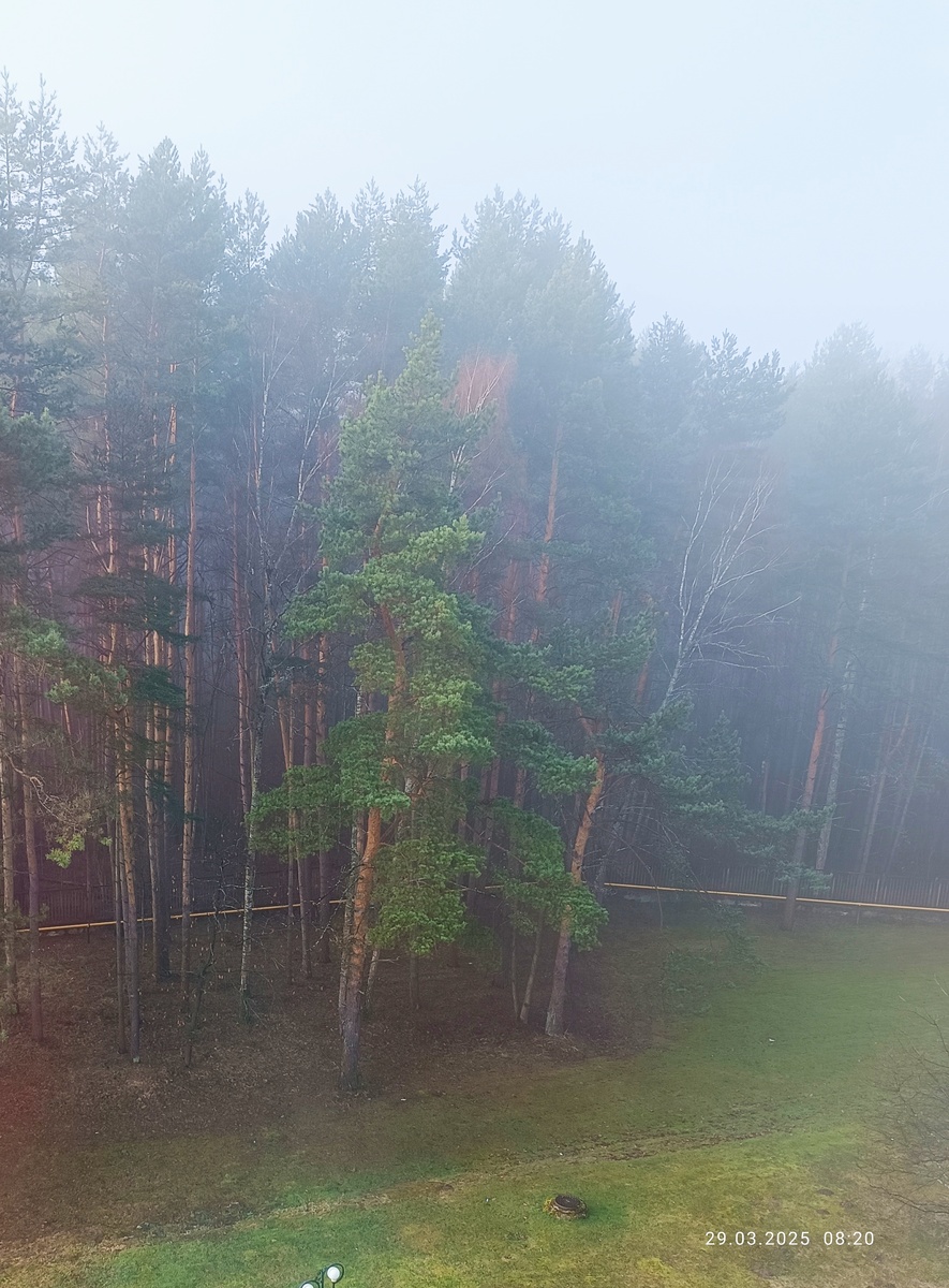 Вид из моего окна.