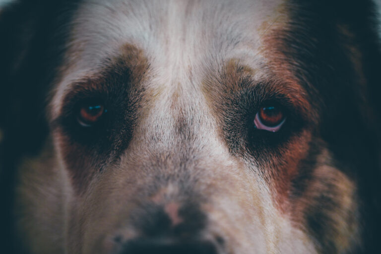 Фото: Общественная служба новостей Ирина Моргунова