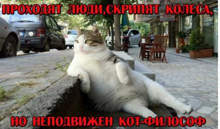 Простите, но ничего лучше для иллюстрации я сегодня не нашла😇