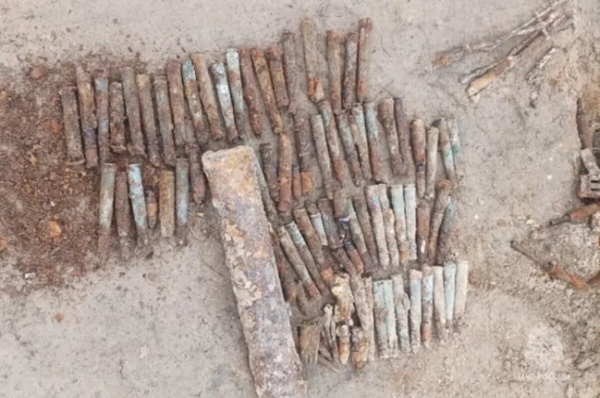    В Брянске спасатели обезвредили арсенал времен Великой Отечественной войны