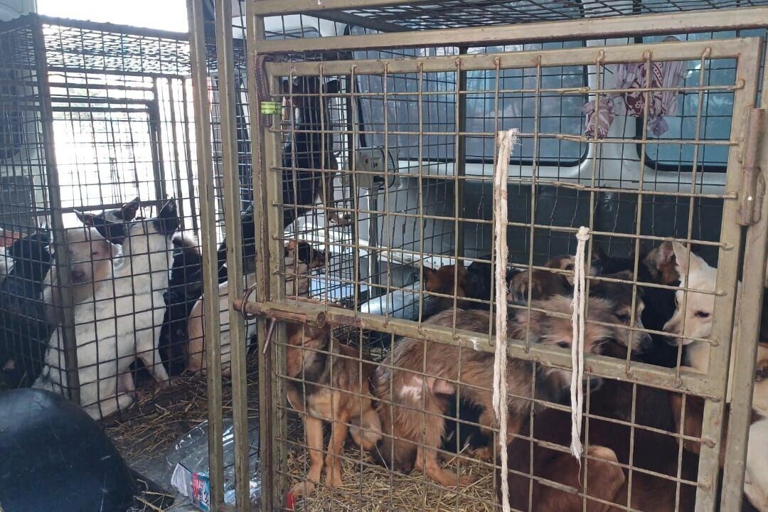     Источник: t.me/fsspkrsk