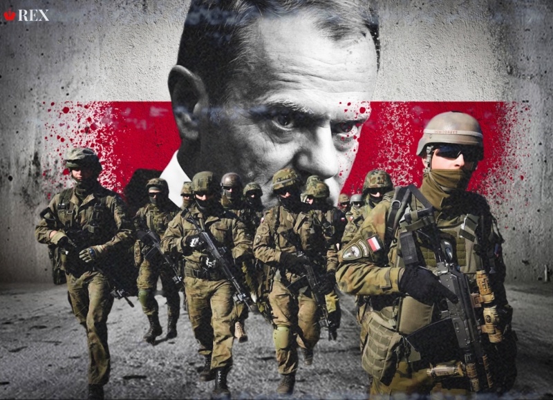    Дональд Туск. Армия Польши. Иллюстрация: REX