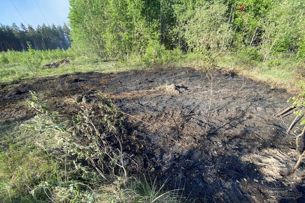    Фото: Александр Аникин © ИА «Уральский меридиан»