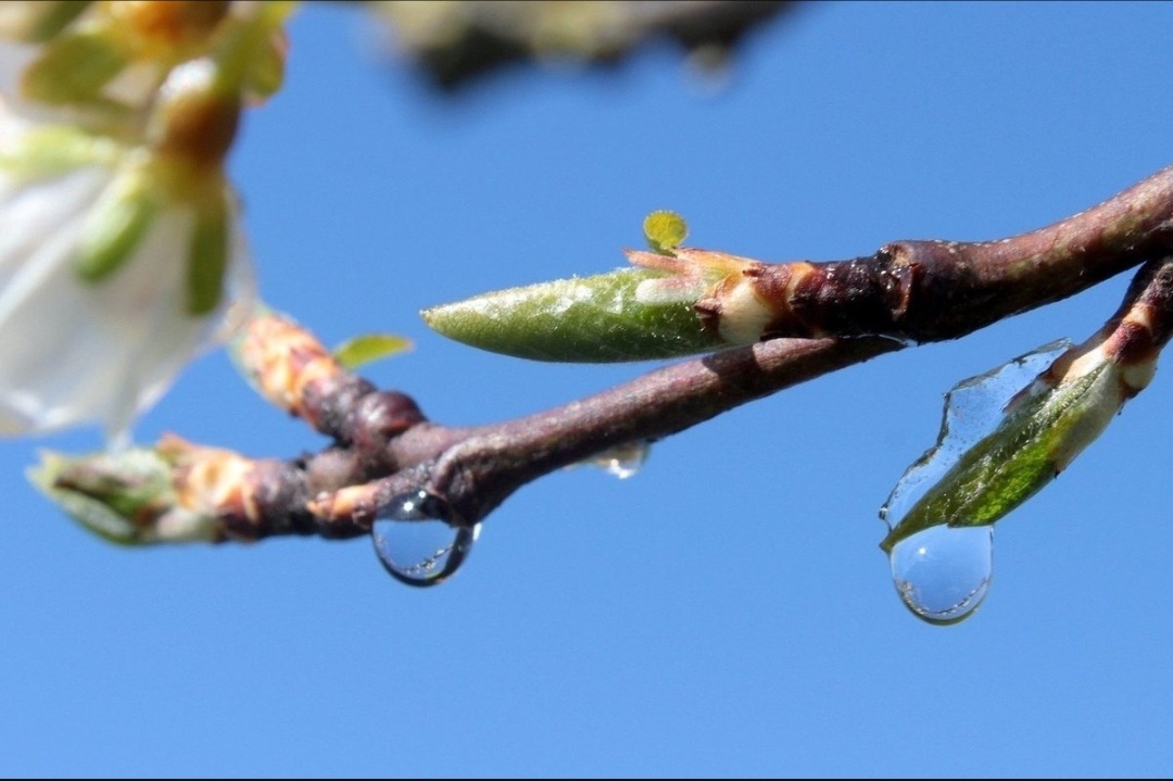 Изображение из открытого источника