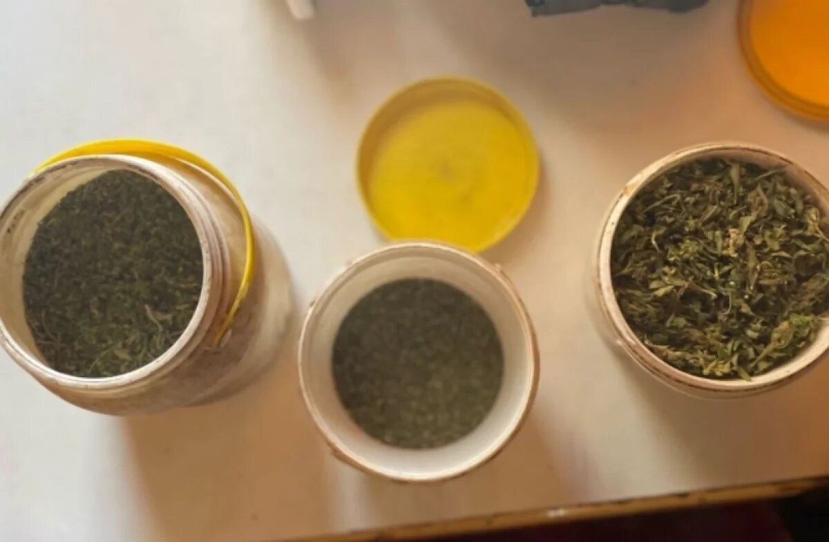    Поход за грибами обернулся для жителя Хабаровского края делом о наркотиках