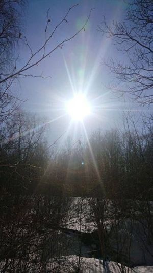 Прогноз погоды слободской кировская область. Погода слободской сегодня подробно. Погода слободской сегодня подробно. Погода слободской на 3. Погода на завтра в слободском.
