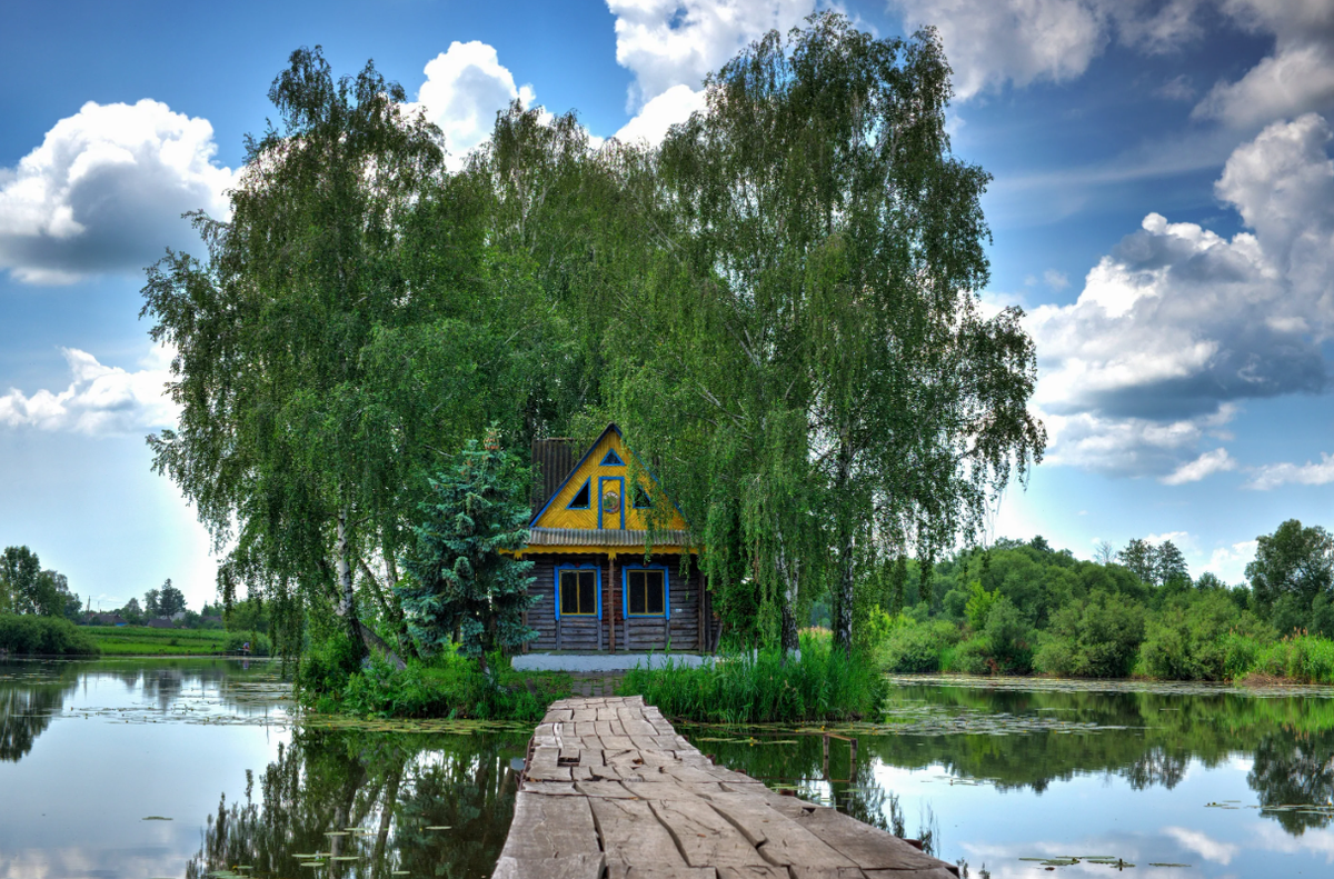 Яндекс картинки