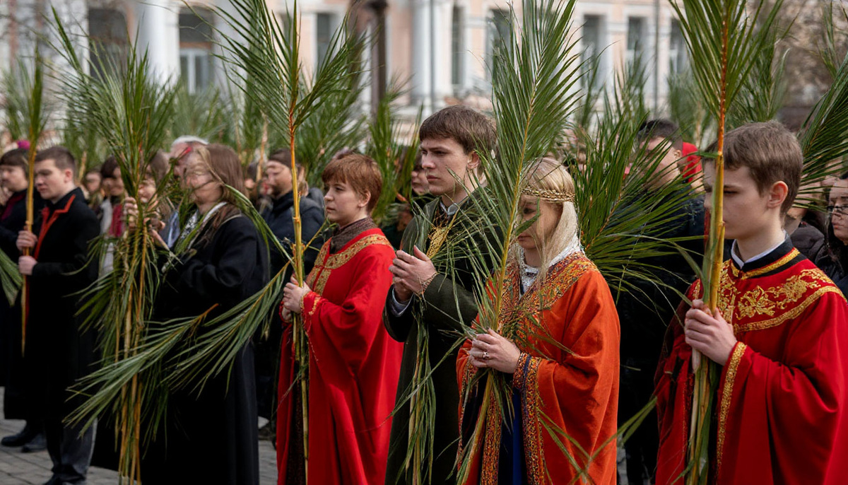 фото из интернета