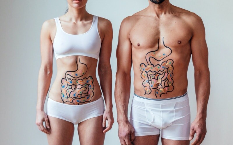 Фотография взята из открытого источника