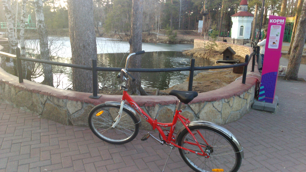 Не знаю, как велосипед, а я рад поездке. Источник: фото автора